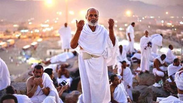 هل تم إلغاء الحج البري 2025-2026 رسميًا؟ مصادر تُجيب وتكشف البدائل