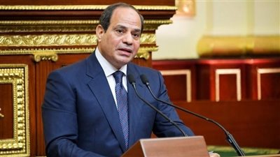 الرئيس السيسي يطمئن المصريين : مصر مستمرة في تدبير الاحتياجات الدولارية وتأمين مخزون استراتيجي من السلع للمواطنين