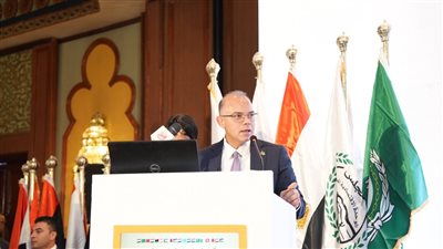 رئيس الرقابة المالية: معايير المحاسبة المصرية أصبحت تعكس الممارسات والتطورات العالمية