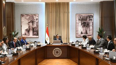 رئيس الوزراء يلتقي مسؤولي شركة BYD لتعزيز صناعة السيارات الكهربائية في مصر