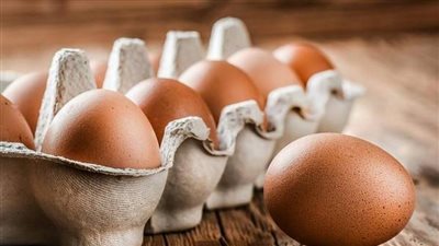 شعبة الدواجن: انخفاض أسعار البيض خلال الفترة المقبلة إلى 130 جنيهًا مع تراجع الطلب وعودة السوق