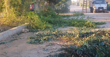 رفع 4 أطنان قمامة بالطود وترميم البلدورات بطريق الحزام الأخضر فى الأقصر