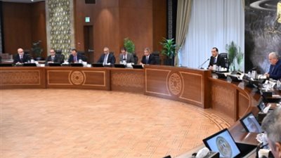 رئيس الوزراء يؤكد استقرار الاقتصاد المصري وتوجه الدولة لتسريع التحول للطاقة المتجددة