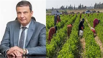 وزير الزراعة: الصادرات الزراعية المصرية تجاوزت 7.2 مليون طن