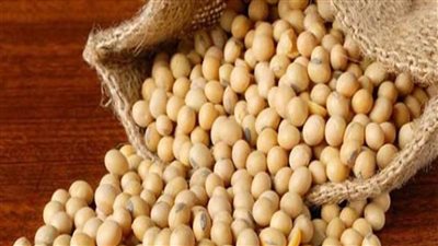 فول الصويا على رأس أولويات الزراعة في مصر.. خطط لمضاعفة المساحات