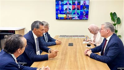 تأمين إمدادات الطاقة محليا ودعم البنية التحتية لمصر