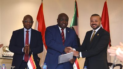 الملياردير الشاب.. محمد الجارحي يقود أضخم استثمار مصري في قطاع الذهب بالسودان بـ277.3 مليون دولار