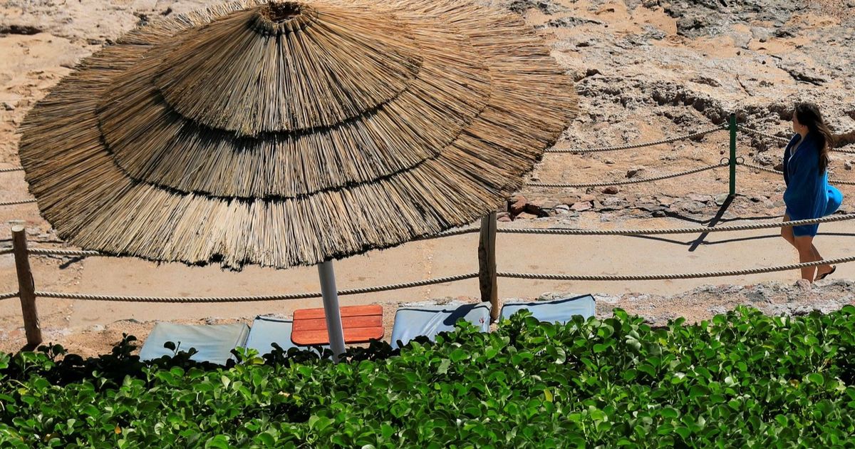 مصر تطرح 14 قطعة أرض بالبحر الأحمر لجمع أكثر من 3 مليارات دولار