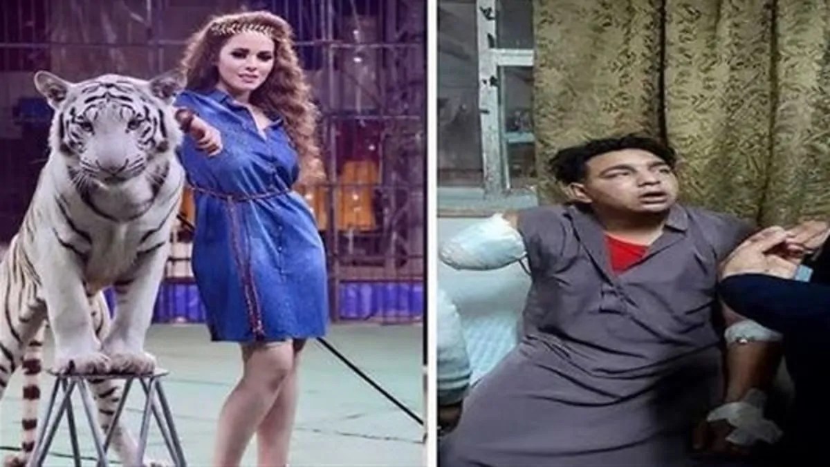 محامي عامل السيرك المصاب في واقعة أنوسة كوته فشل تفاوض للصلح بـ130 ألف جنيه وسجنها مهدد