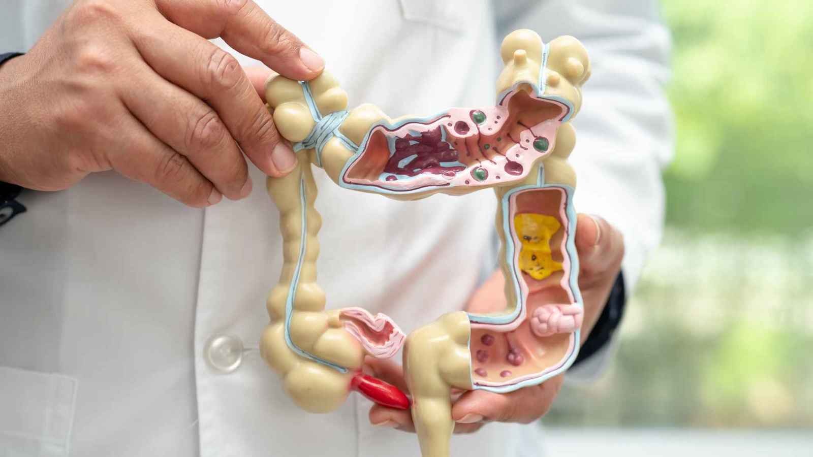 دراسة: بكتيريا الأمعاء وراء تأخر النمو عند الأطفال