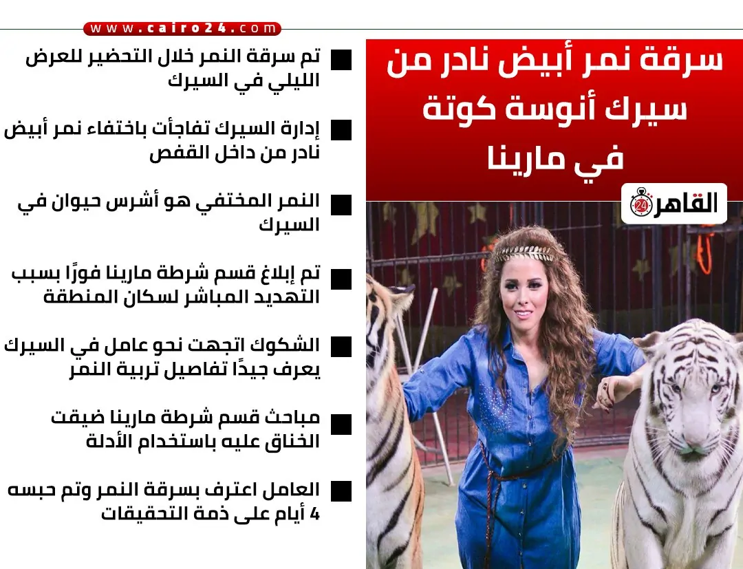 عامل يسرق نمر شرس من السيرك القصة الكاملة لأغرب واقعة سرقة بمطروح 2 سرقة نمر شرس