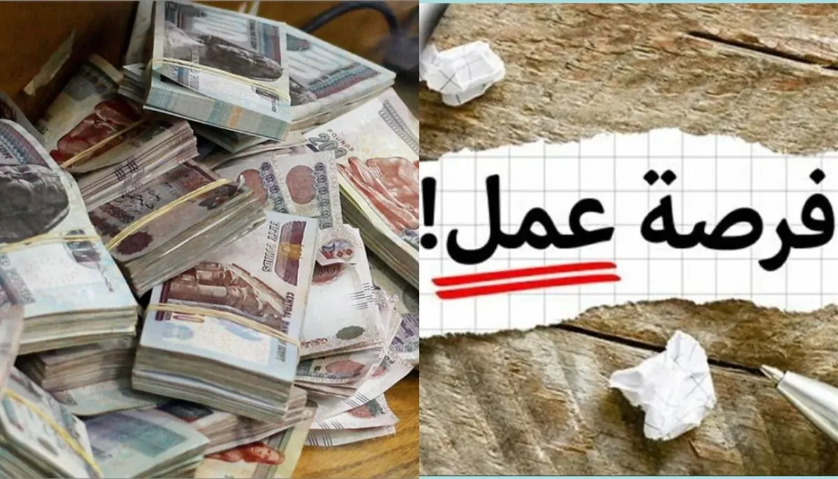 فرص عمل للمصريين بلبنان براتب 500 دولار شهريا كيفية التقديم 2 وزارة العمل عن توفر فرص