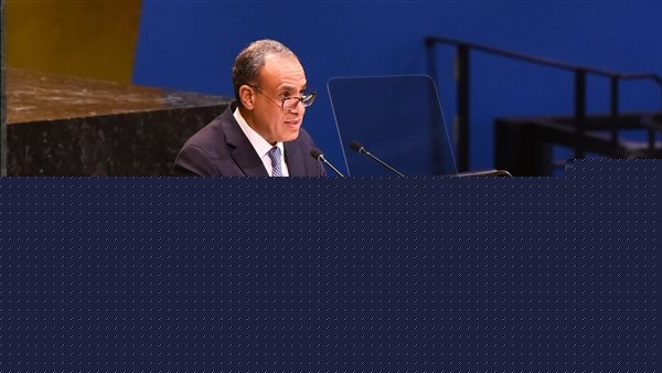 مستعدون للاحتكام للقضاء بشأن سد النهضة ولن نتهاون في حقوقنا