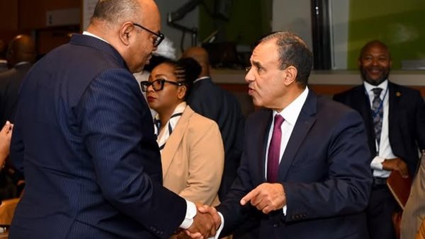 مصر وتنزانيا تبحثان تعزيز الشراكة الشاملة على هامش اجتماعات الأمم المتحدة