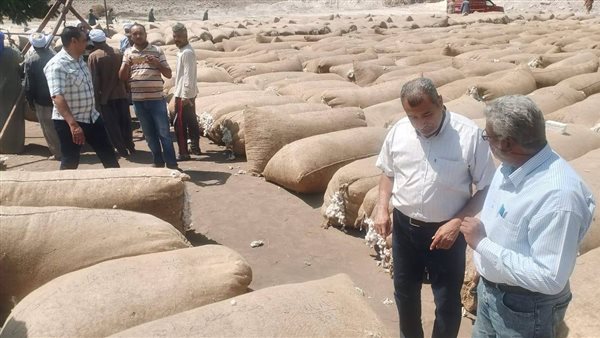 منظومة تسويق القطن وتقديم التسهيلات للمزارعين لضمان عائد عادل