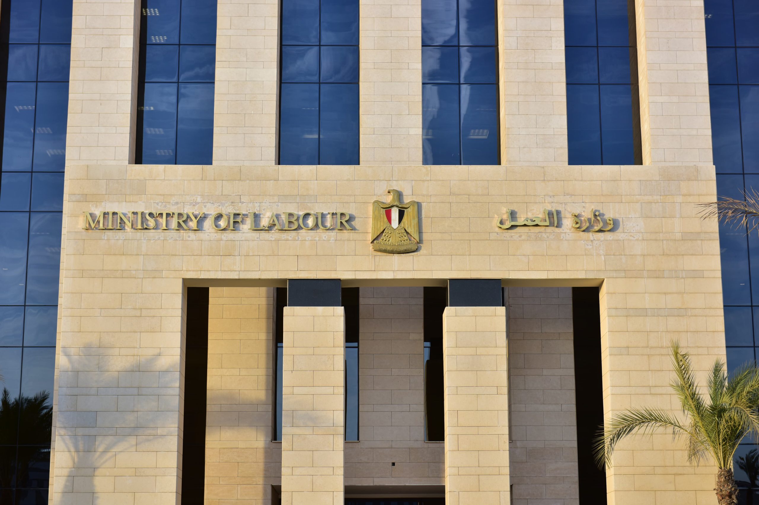 وزارة العمل تعلن عن فرص عمل جديدة للشباب خلال سبتمبر 2025