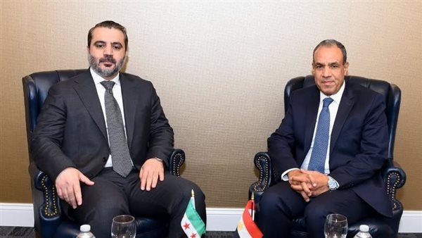 وزير الخارجية يبرز موقف مصر الثابت لحفاظ على وحدة سوريا وسلامة أراضيها