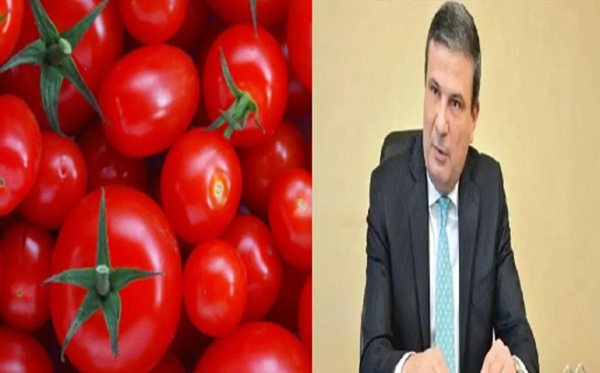 تراجع كبير بسعر الطماطم خلال أيام والوزير يوضح أسباب الزيادة