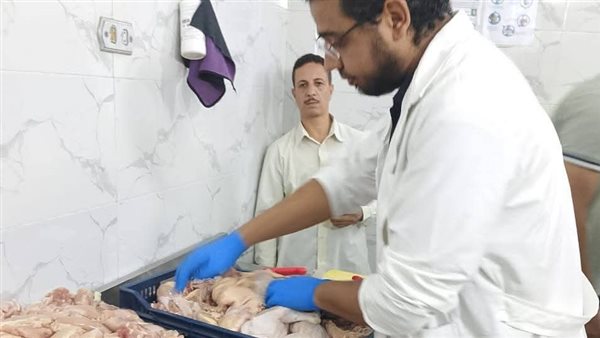 ضبط أكثر من 270 طن لحوم غير صالحة وتحرير 981 محضرًا خلال سبتمبر