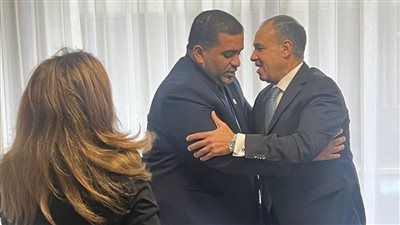 وزير الخارجية: نقدر موقف الإمارات الداعم لدكتور خالد العناني لمنصب اليونسكو