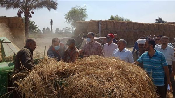 “البحوث الزراعية” يُكثف جهوده الإرشادية والتوعوية لدعم المزارعين وأسرهم بالمحافظات