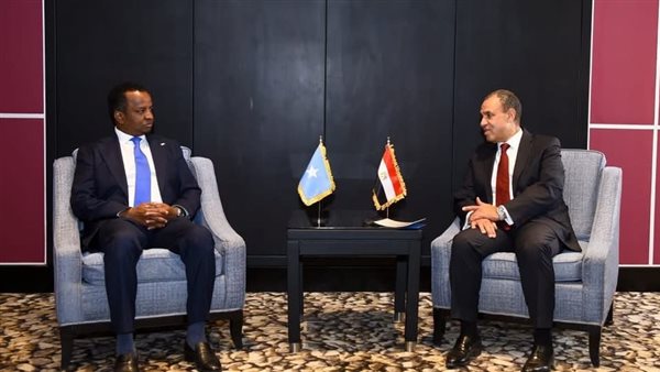 مصر ملتزمة بتقديم الدعم لبناء مؤسسات الدولة الصومالية