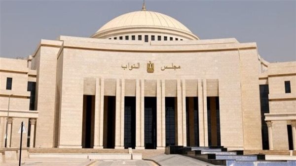 نظام انتخابات مجلس النواب 2025… ضوابط الدعاية ومحظوراتها