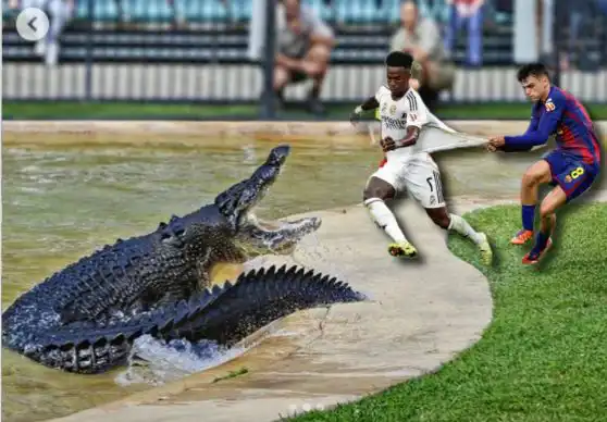 بيدري وهو يجذب قميص فينيسيوس