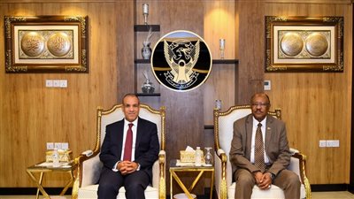 وزير الخارجية: نؤكد على دعم مصر لسيادة ووحدة وسلامة أراضي السودان