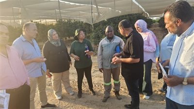 الزراعة تستعد لفتح سوق جديد.. وفد جنوب أفريقي يتفقد منظومة صادرات الرمان المصرية