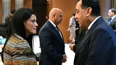 التخطيط: الصناعات التحويلية غير البترولية المحرك الأكبر للنمو خلال الربع الرابع