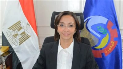 محافظ البحيرة: الوضع مطمئن رغم ارتفاع منسوب النيل.. واستعدادات استباقية لمواجهة أي طارئ