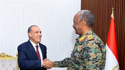 وزير الخارجية: نوفر تسهيلات للسودانيين المتواجدين بمصر للعودة الطوعية لبلدهم عقب هدوء الأوضاع