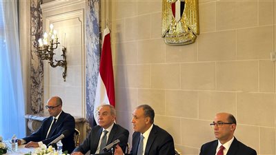 وزير الخارجية يوجه رسالة إلى المصريين بالخارج بشأن انتخابات مجلس النواب.. ماذا قال؟