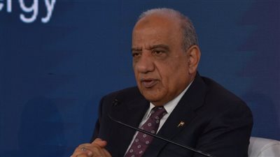 وزير الكهرباء: لا نية لتحريك أسعار الكهرباء حتى نهاية العام