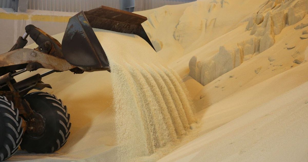 تحالف مصري يدرس إنشاء مصنع أسمدة فوسفاتية بـ600 مليون دولار