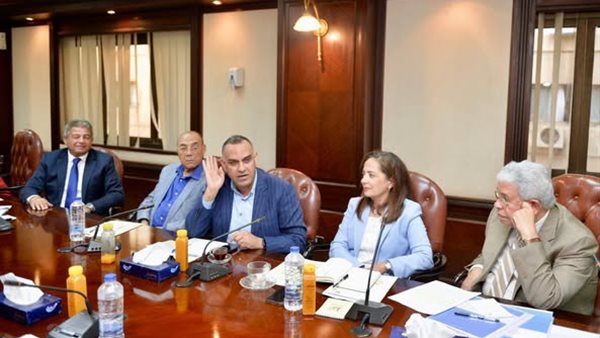 إيناس جوهر رئيسًا للجنة إعلام الخدمة العامة وعمرو خفاجي مقررًا