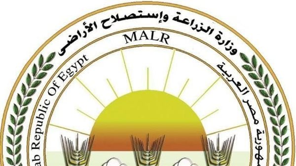 الثلاثاء المقبل.. مصر تستضيف منتدى الارز الأفريقي
