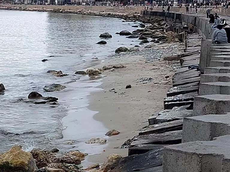 عقب انحسار البحر في الإسكندرية علوم البحار توضح