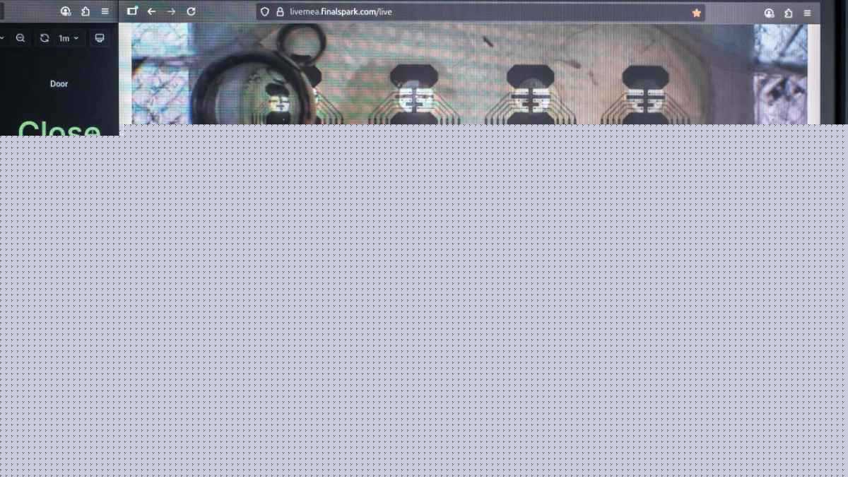 “بدلا من تقليد الدماغ”.. شركة تستخدم الخلايا لتشغيل أجهزة الكمبيوتر