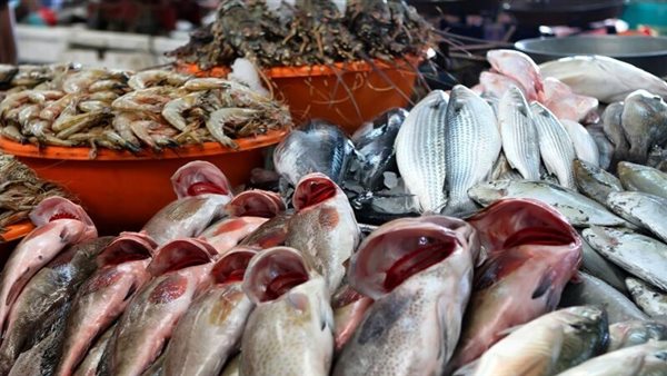 تفسير حلم السمك الحي في المنام وأسراره لابن سيرين