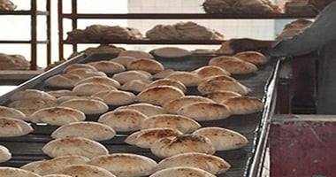 شاهد في دقيقة.. شروط الحصول على ترخيص مخبز بلدي - اليوم السابع