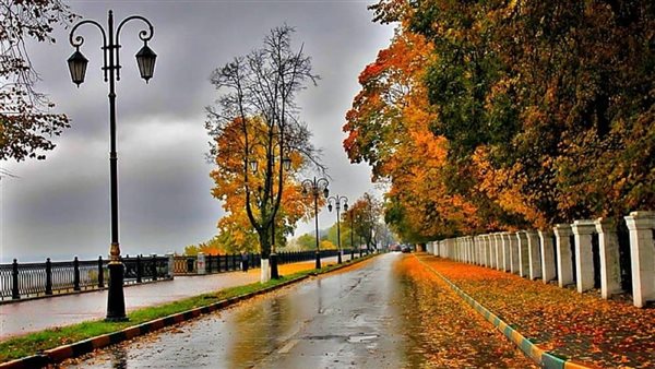 طقس خريفي معتدل وأمطار خفيفة..حالة الطقس غدًا السبت 11 أكتوبر 2025