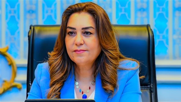 وزارة البيئة تشن حملة تفتيشية على مكامير الفحم بدمياط