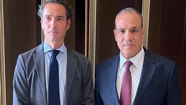 وزير الخارجية يؤكد أهمية التعاون مع ألمانيا فى إزالة الألغام والأمن السيبرانى