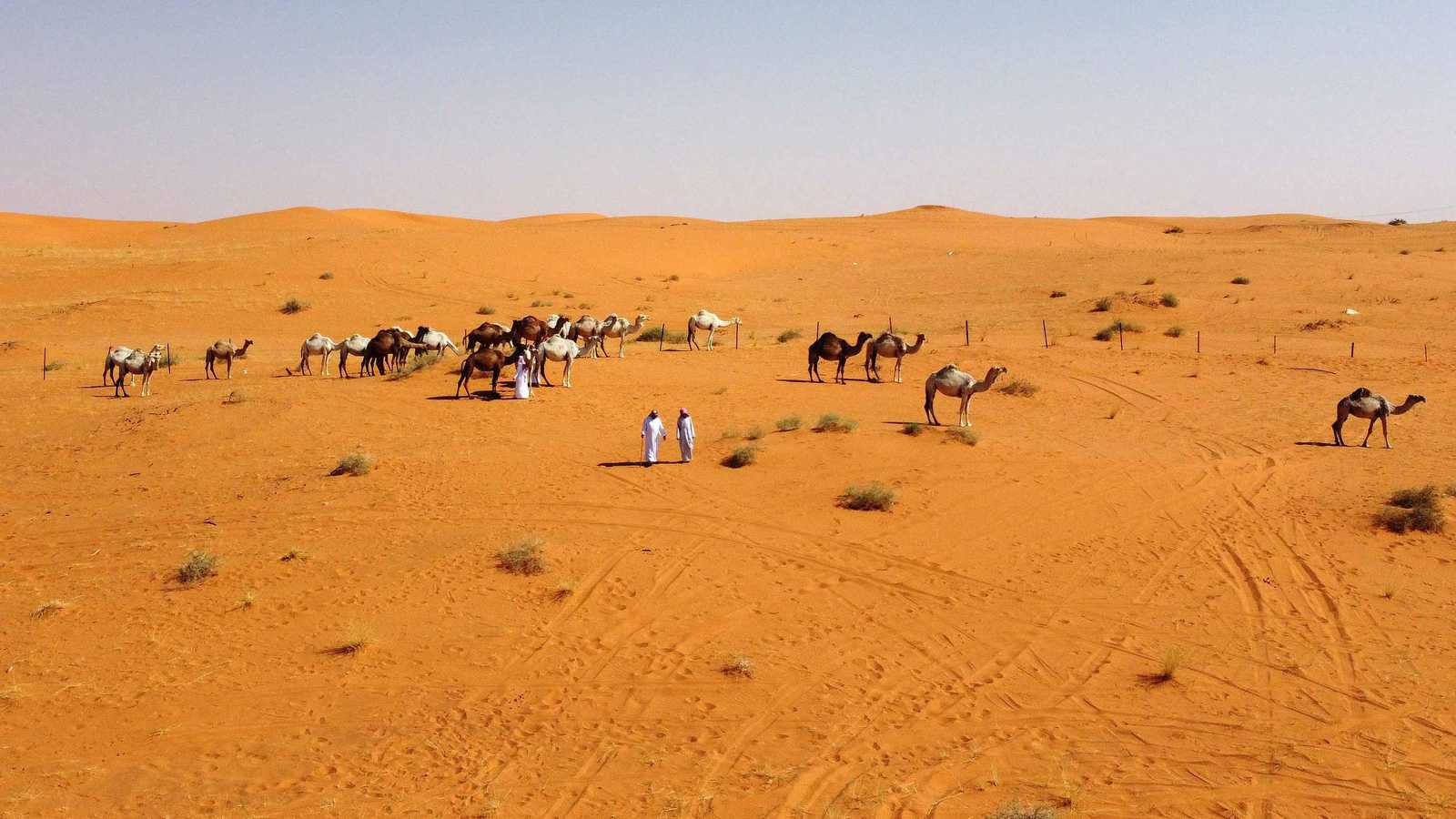 يعود إلى 12 ألف عام.. اكتشاف مذهل في صحراء السعودية (صور)
