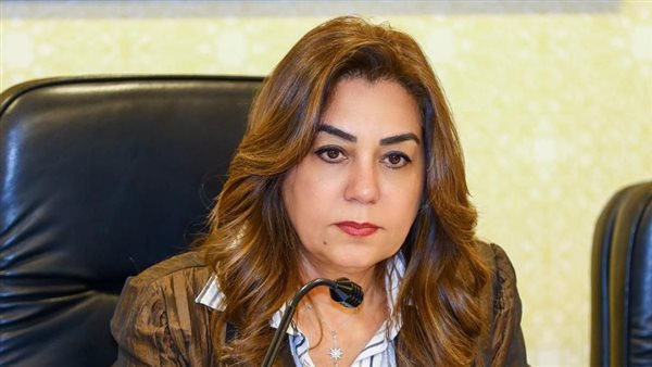 وزيرة التنمية تستعرض تقريراً حول نتائج المرور الميدانى على 4 مراكز تكنولوجية بأحياء حلوان