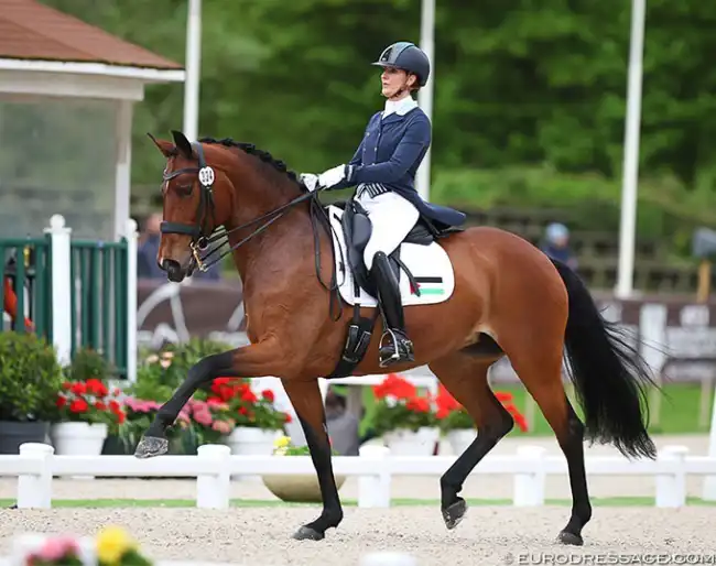 ديانا الشاعر