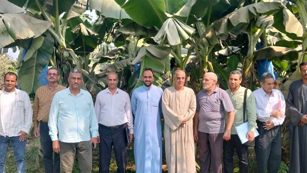 الزراعة” تنفذ أكثر من 2300 نشاطا إرشاديا متنوعا لدعم أكثر من 61 ألف مزارع خلال أكتوبر