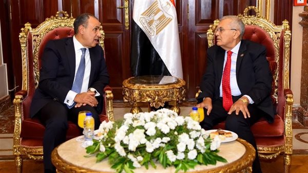 وزير الخارجية يناقش مع رئيس مجلس الشيوخ التحديات الإقليمية والملفات المتعلقة بمصالح المصريين بالخارج
